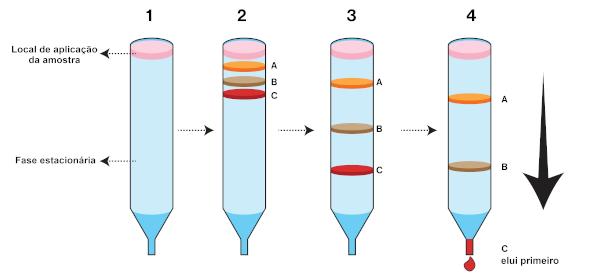 Kolonėlės chromatografijos demonstravimas