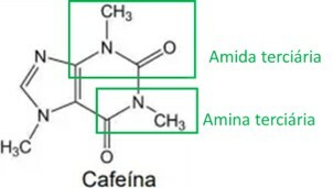 Identification of amide and amine in the chemical structure of caffeine.