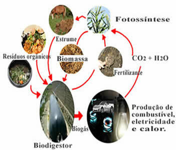 Skema produksi biogas: bahan baku dan penggunaan