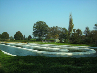 大規模な微細藻類の栽培に使用される池