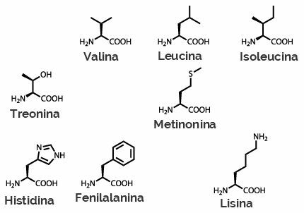 Esansiyel amino asitlerin yapısal formülleri