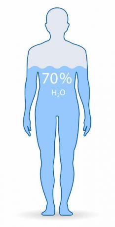 ადამიანის სხეული შედგება დაახლოებით 60% -დან 75% წყლისგან.