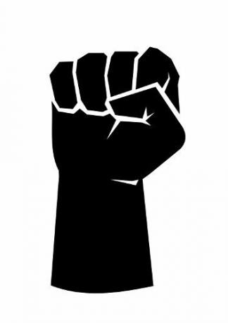 Den upphöjda näven är en av symbolerna för den svarta rörelsen i USA och användes av Black Panthers.