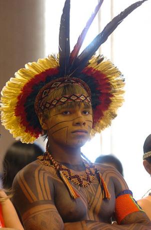 Az őslakosok etnikai kisebbségek Brazíliában és Amerikában. [1]
