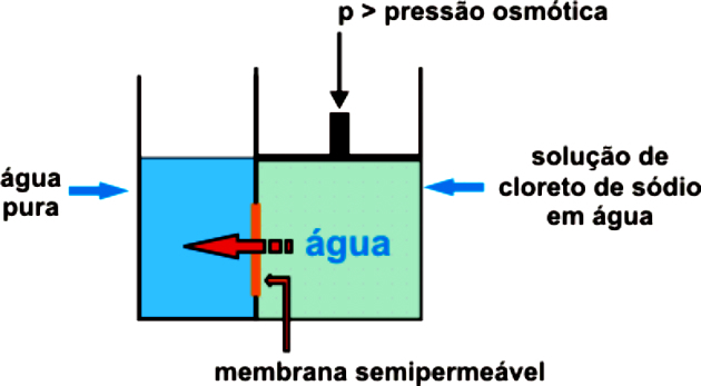 Osmotic pressure: what it is and how to calculate