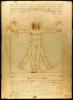 Vitruvian Man af Leonardo da Vinci