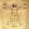 Vitruvian Man: Discover FASCINATING curiosities of the work