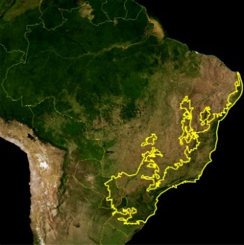แผนที่บราซิลแสดงที่ตั้งของป่าแอตแลนติก