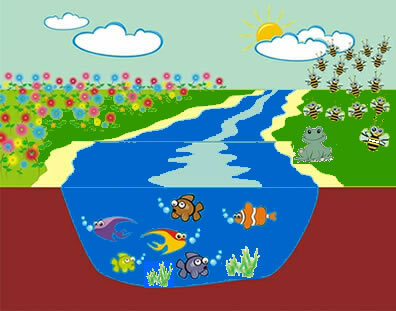 Wat is een ecosysteem? Ecosysteemkenmerken