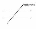 Meaning of Transversal (What it is, Concept and Definition)