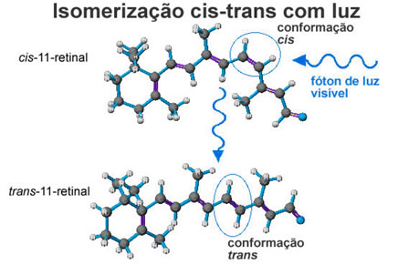 Cis-trans-isomerisering med retinal ljus