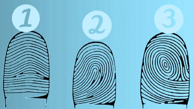 At your fingertips: find out what your fingerprints say about your personality