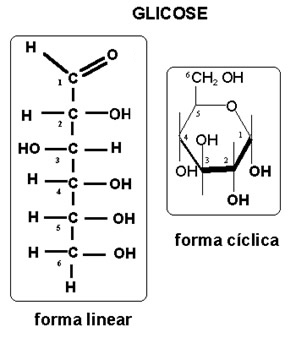 Structural formula of glucose