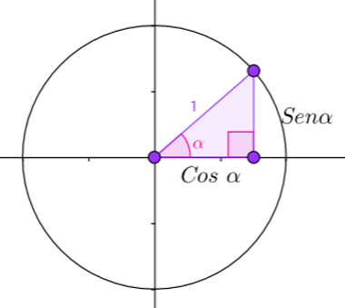 Cerc de rază 1, pe care este așezat un triunghi dreptunghiular pentru a evalua proprietățile acestuia
