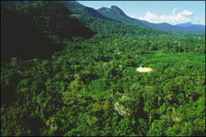 Амазонска шума - покривач екваторијалног порекла