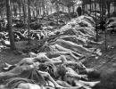 Holocaust: wat was het, gevolgen, dodental en films