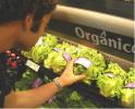 Organic products. What are organic products?