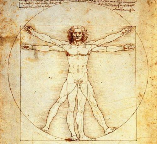 vitruvian man