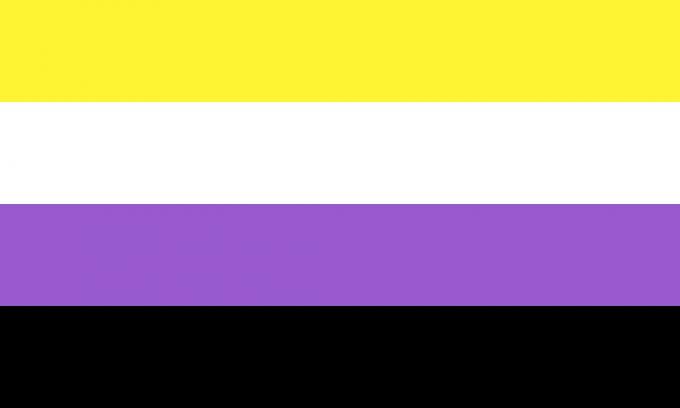 Niet-binaire vlag met gele, witte, paarse en zwarte kleuren.