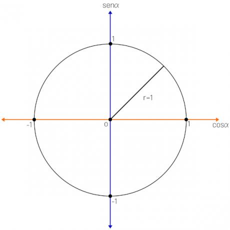 Trigonometrisk sirkel: hva er det, eksempler, øvelser