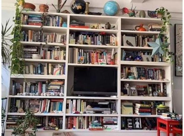 IQ test: Can you find the sleeping cat on the bookshelf?