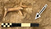 Arheologi na Cipru odkrili osupljive grobnice iz bronaste dobe