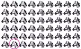 Brain Teaser: Ali lahko najdete drugačno zebro?