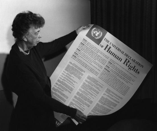 الإعلان العالمي لحقوق الإنسان