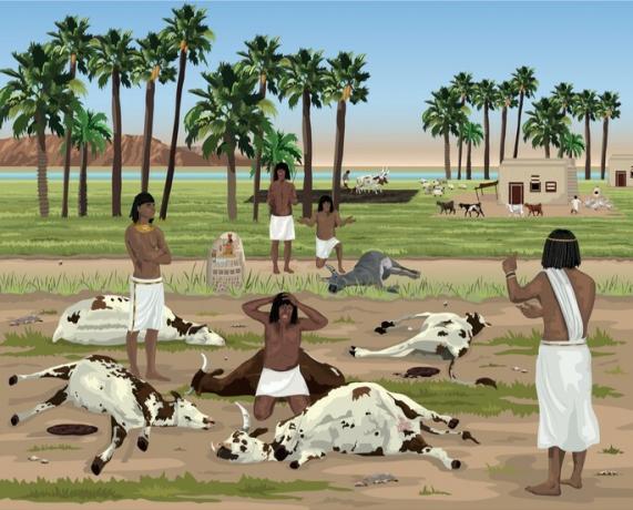 Fifth plague of Egypt: plague on animals.