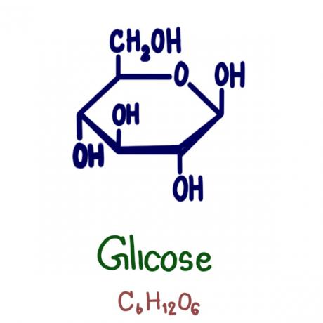  Glucose is used in our body for energy by the cell.