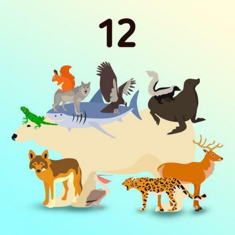 Skill test: how many animals are present in this visual challenge?
