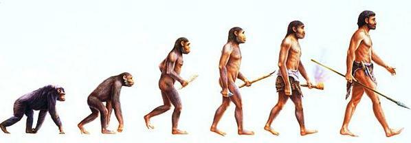 人類の進化図