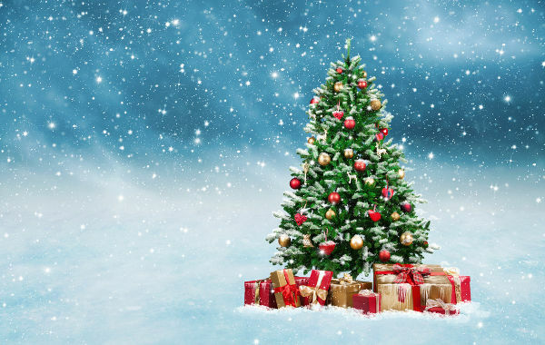 Sapin de Noël. Histoire d'arbre de Noël