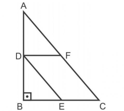 Fuvest 2010 vraag gelijkenis van driehoeken