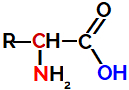 Allmän strukturformel för en aminosyra
