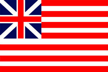 Amerikansk flag