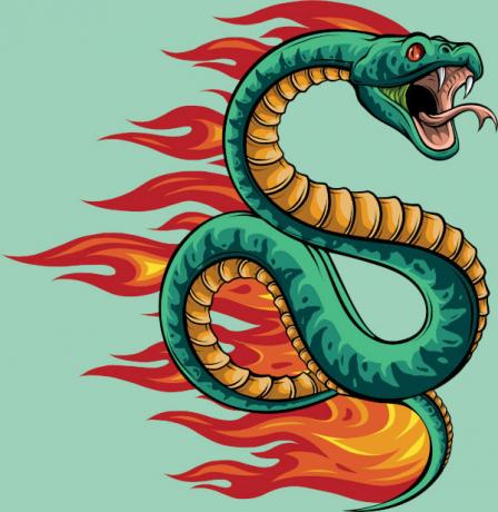 ブラジル民間伝承の最も有名な伝説の 1 つであるボイタタ (火の蛇) のイラスト。