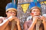 تكوين الشعب البرازيلي: التاريخ وتكوين الأجيال