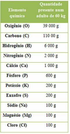 Table with essential elements for the maintenance of life and their quantities in a 60 kg person