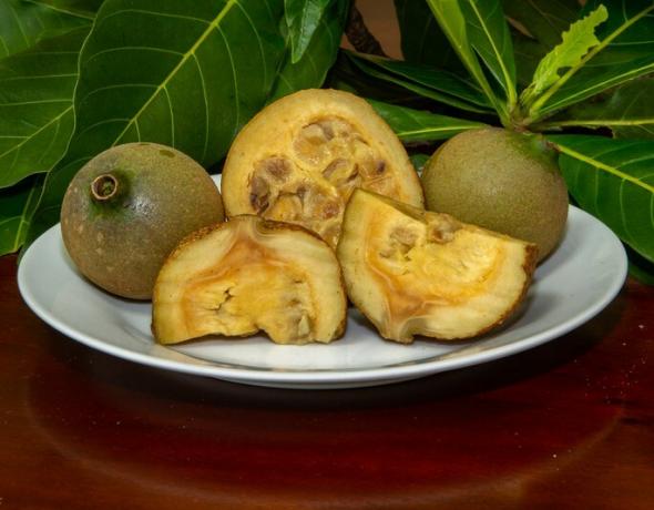 الفاكهة البرازيلية: اكتشف 20 نوعاً ومناطقها