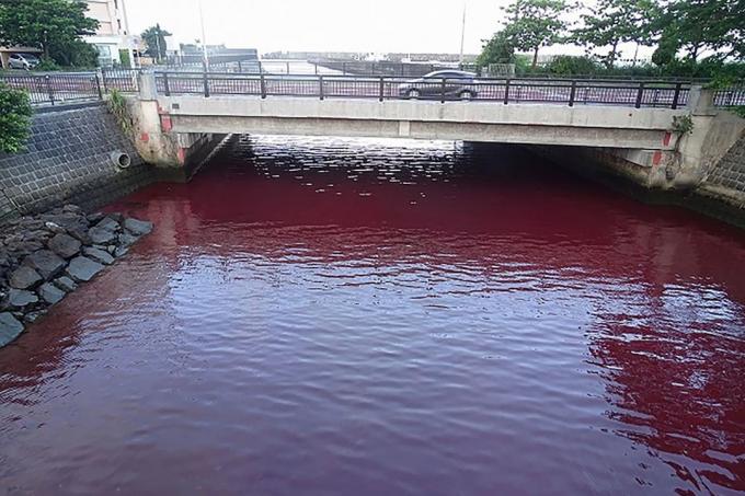 Ανησυχητικό φαινόμενο: Η Θάλασσα της Ιαπωνίας αποκτά «δηλητηριώδη» κόκκινη απόχρωση