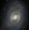 허블 망원경은 '유령 은하'의 놀라운 이미지를 포착합니다. 바라보다