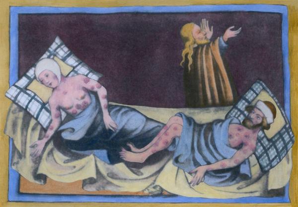 黒死病は、14世紀にヨーロッパの人口の約1/3の死を引き起こしました。