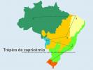 Vaje o brazilskih biomih