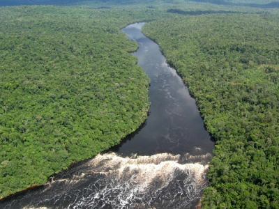 Wilayah Amazon adalah salah satu dataran paling terkenal di dunia