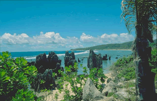 Prírodné krásy Nauru