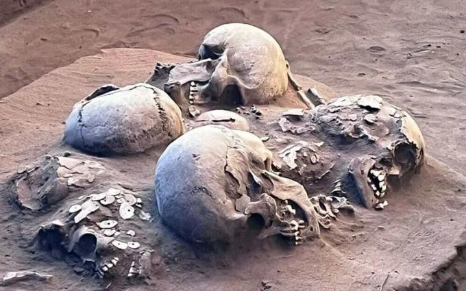 תגלית ארכיאולוגית בגויאס חושפת מאובן אנושי בן 12,000 שנה