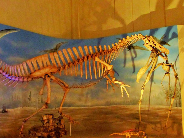 Dinosaurs room at the National Museum. (Photo: Personal collection of Dr. Elysiane de Barros Marinho)