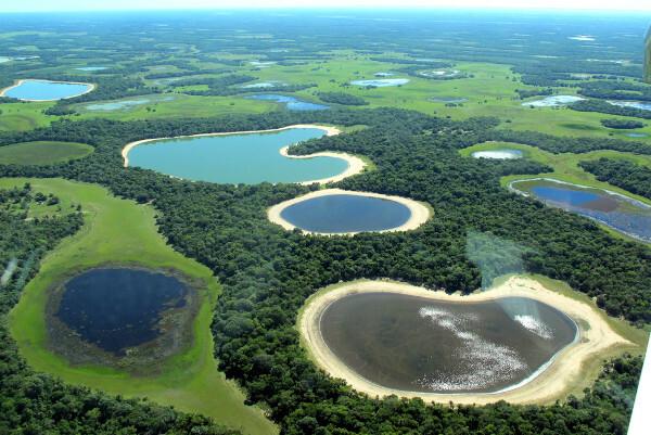 Dzięki płaskiej rzeźbie terenu, zalane tereny są powszechne w Pantanal.