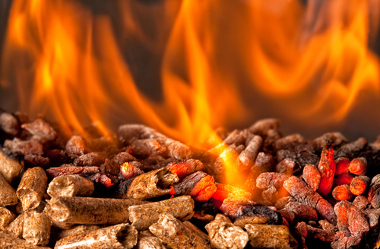 Biomass is used as a source of electricity and also as a biofuel